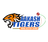 Aakash Tigers MWS-logo