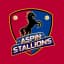 Aspin Stallions Flag